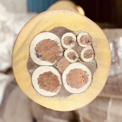 IMG_4003.jpg IMG_4003.jpg