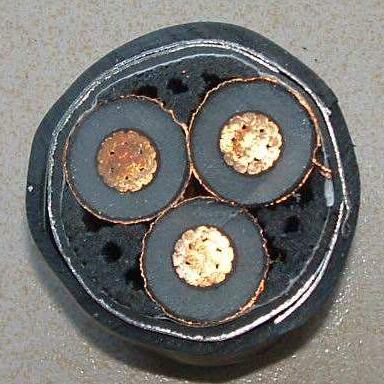 201703151603267455 201703151603267455