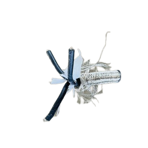 IMG_4248.png IMG_4248.png