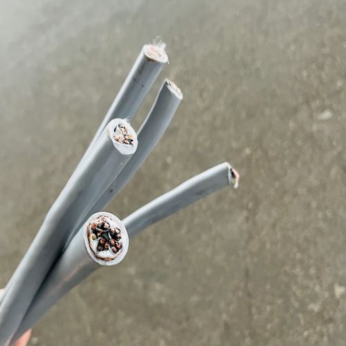 IMG_2821.jpg IMG_2821.jpg