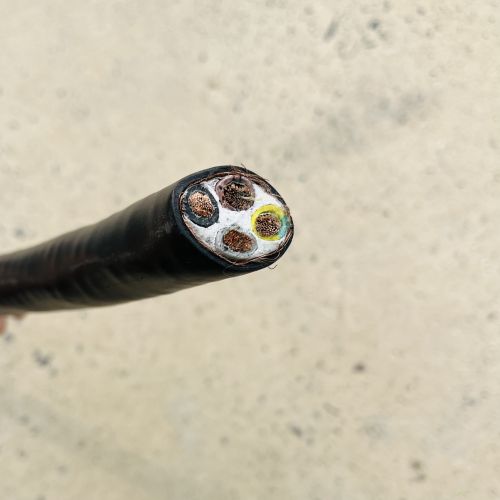 IMG_1767.jpg IMG_1767.jpg