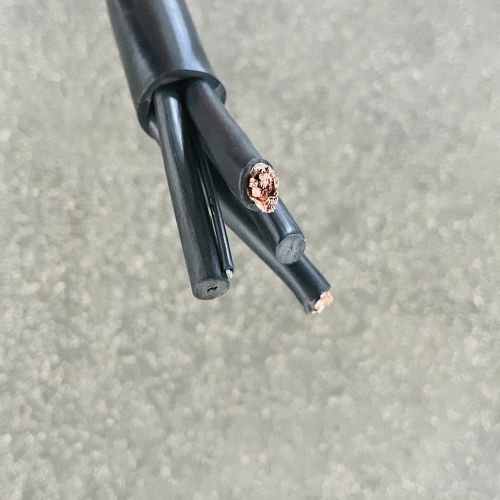 IMG_5407.jpg IMG_5407.jpg