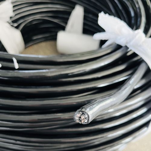 IMG_4671.jpg IMG_4671.jpg