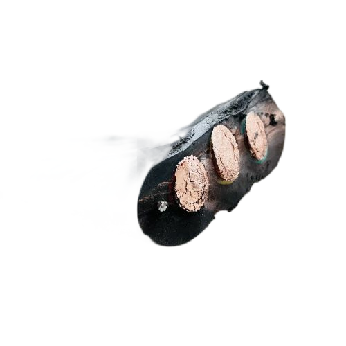 202411281008548744 202411281008548744