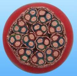 J9����|����վ����