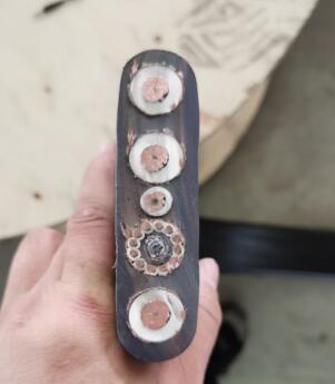 J9集团|国际站官网