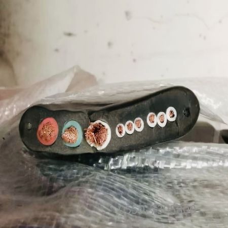 J9集团|国际站官网