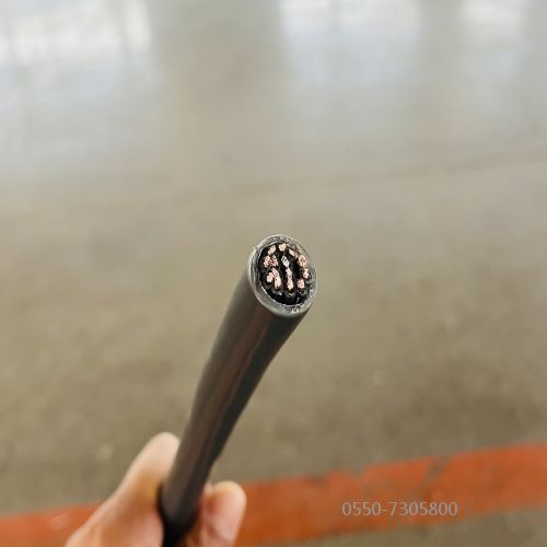 J9����|����վ����