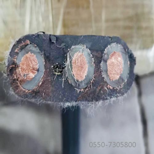 J9����|����վ����