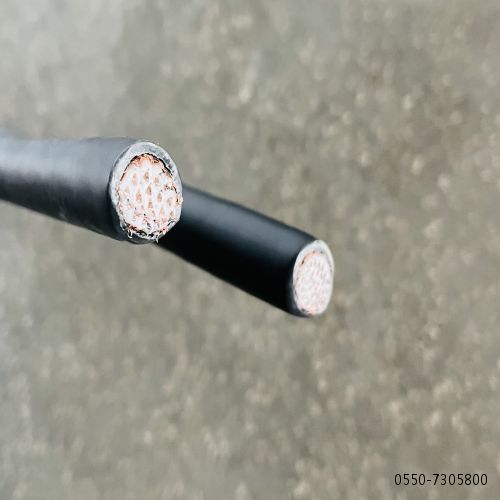 J9����|����վ����