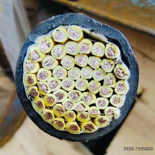 J9����|����վ����