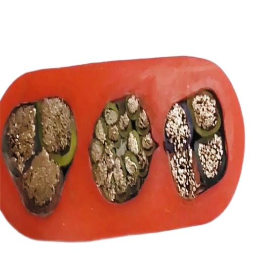 J9����|����վ����