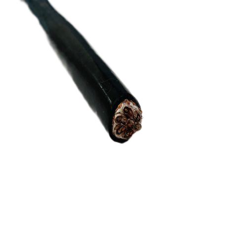 J9����|����վ����