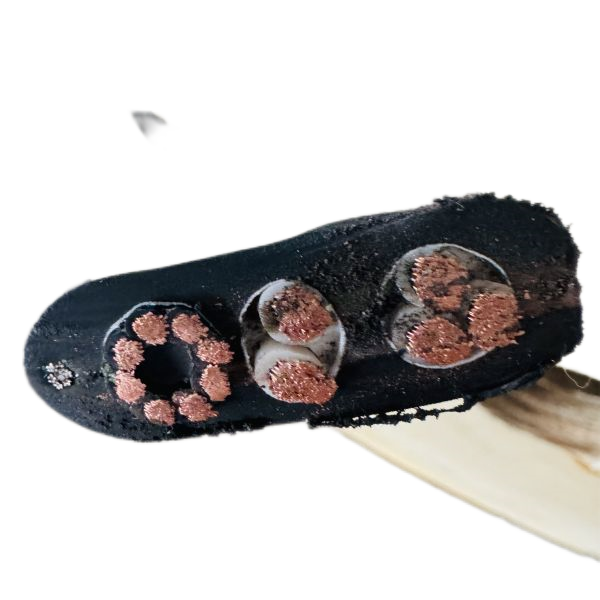 J9����|����վ����