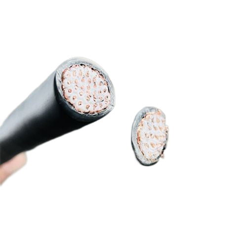 J9����|����վ����