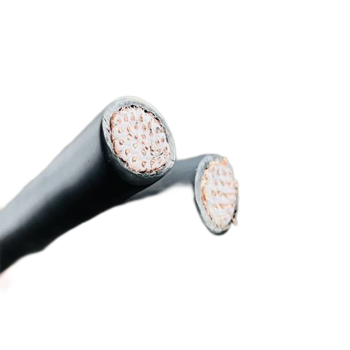 J9����|����վ����