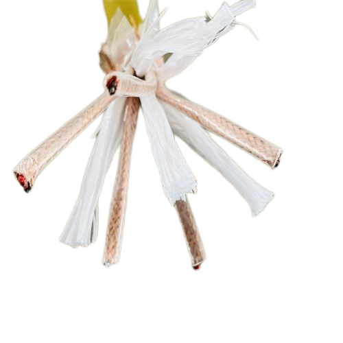 J9����|����վ����