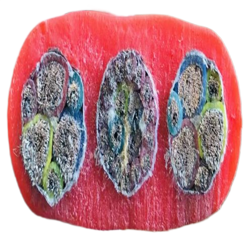 J9集团|国际站官网