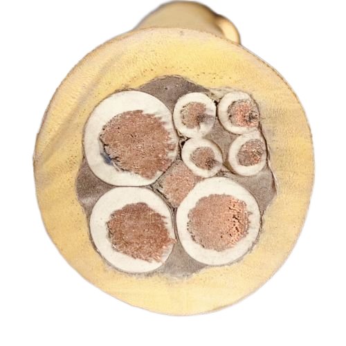 J9集团|国际站官网