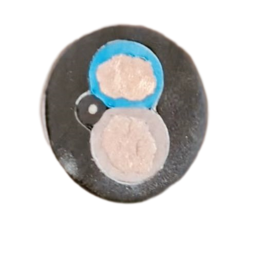 J9����|����վ����