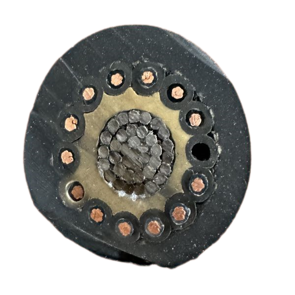 J9集团|国际站官网