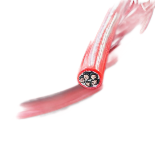 J9����|����վ����