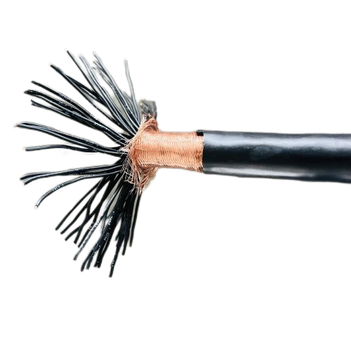 J9����|����վ����