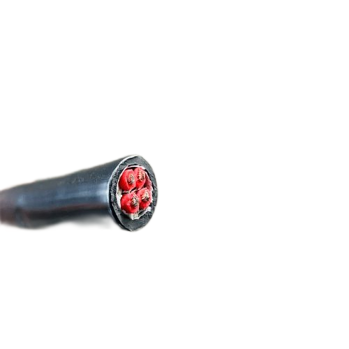 J9����|����վ����