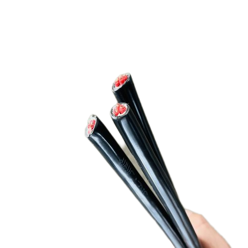 J9����|����վ����