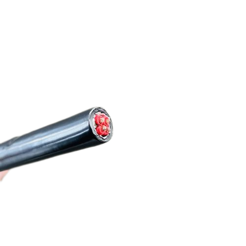 J9����|����վ����