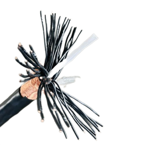 J9����|����վ����