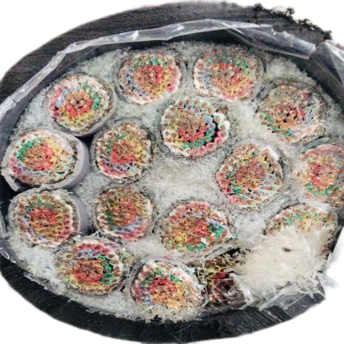 J9����|����վ����