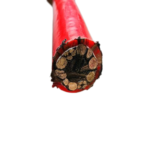 J9����|����վ����