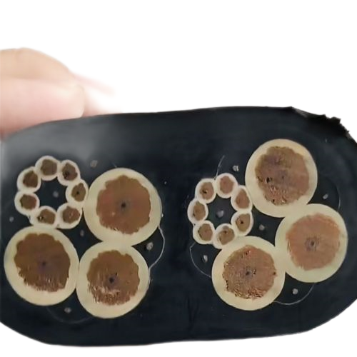 J9集团|国际站官网