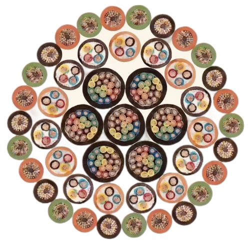 J9集团|国际站官网