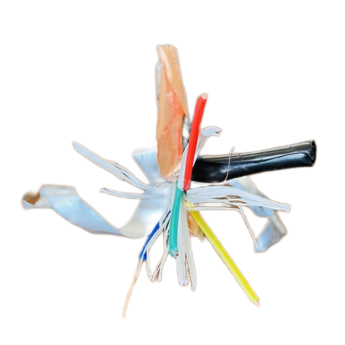 J9集团|国际站官网