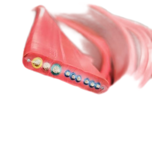 J9集团|国际站官网