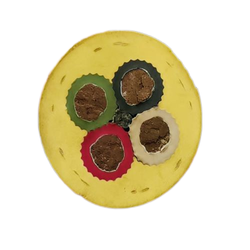 J9集团|国际站官网