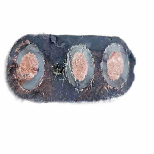 J9集团|国际站官网