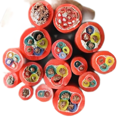 J9集团|国际站官网