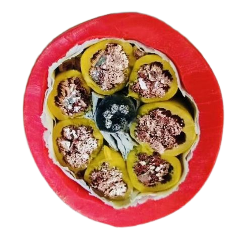 J9集团|国际站官网