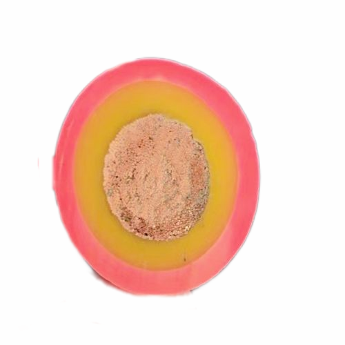 J9集团|国际站官网