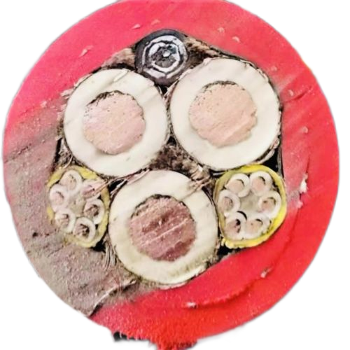 J9集团|国际站官网