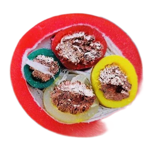 J9集团|国际站官网