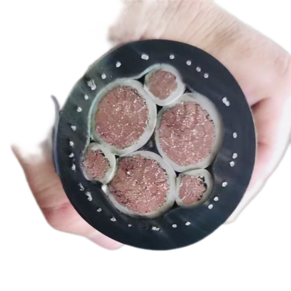 J9集团|国际站官网