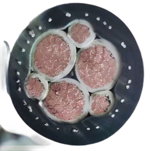 J9集团|国际站官网