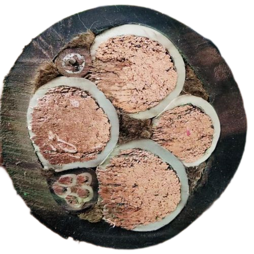 J9集团|国际站官网