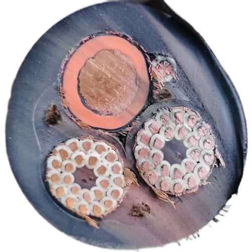 J9集团|国际站官网